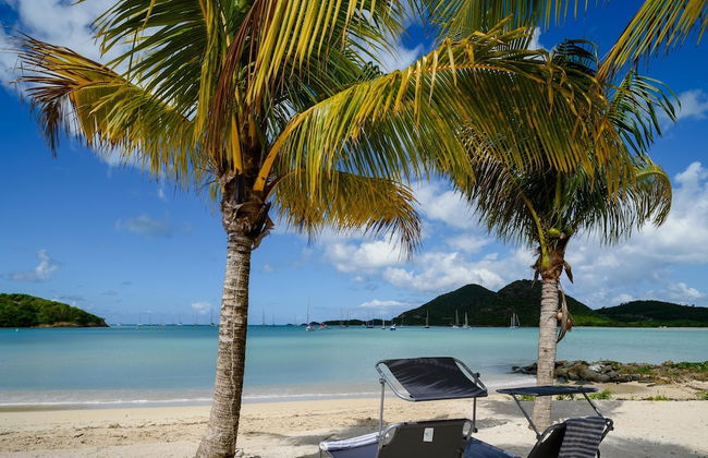 Wild Lotus Villa - Waterfront on Jolly Harbour - Photo 1