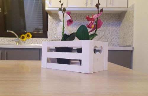 Tom's House - Photo 28