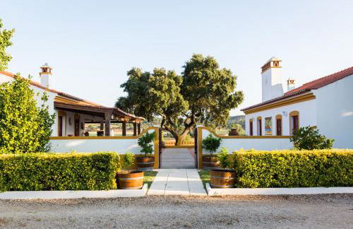 MONTE DA RAPOSINHA Enoturismo, Montargil - Foto 45