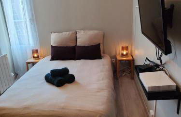 La Bulle de Tours, hyper center, train station in front! - Photo 13