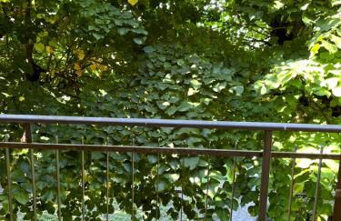 Villetta la Fortezza - Foto 51