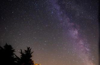 Mas des Cèdres - Photo 17