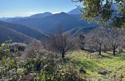 Le Châtaignier - Foto 13