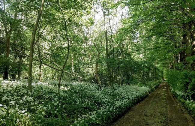 9 Person Holiday Home in Skibby - Foto 16