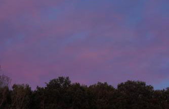 Logement entier de charme, gite équestre GERS Flamarens - Photo 49