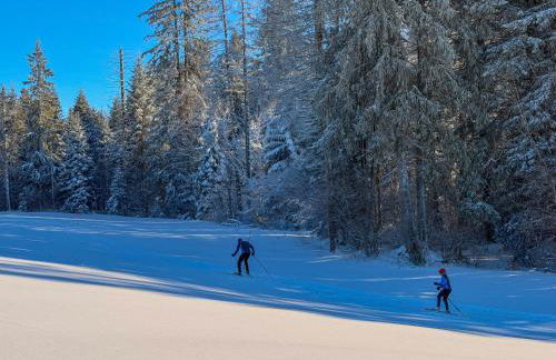 Le Myosotis, Perle du Haut Doubs - Foto 19