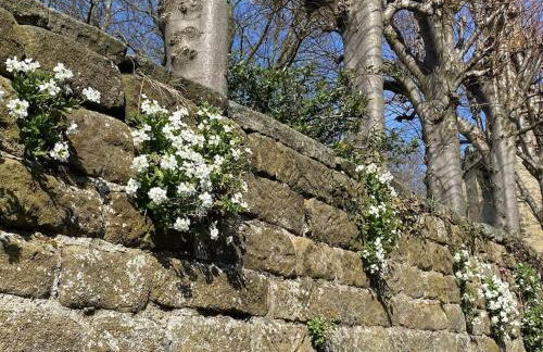 Garden Cottage - Ashover Village near Matlock - Foto 36