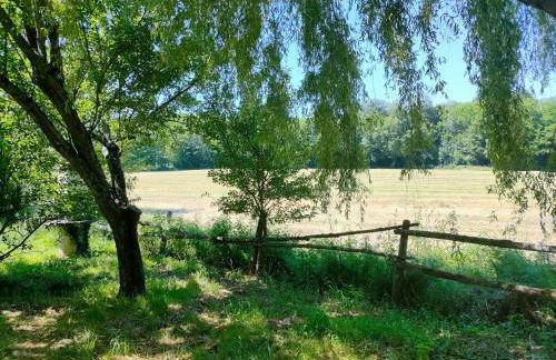 Gîte "Rêves de Gamins", proche du pôle Européen et du circuit des 24h - Foto 46