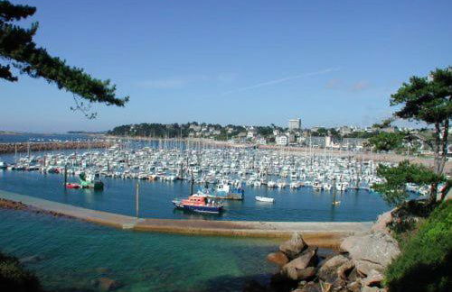 Le Cocon Breton - Foto 23