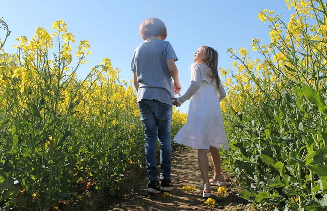 Holiday Home Near Baltic Sea & Sauna - Foto 24