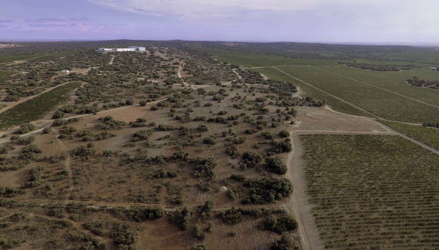 Finca Antigua Winery Visit - Foto 2