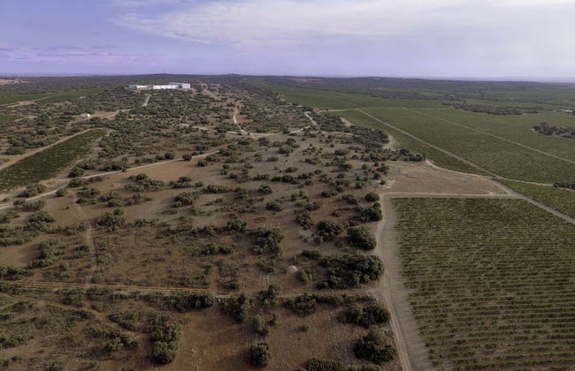Visite à la cave Finca Antigua - Photo 2