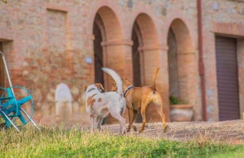 Agriturismo La Ripolina - Foto 48
