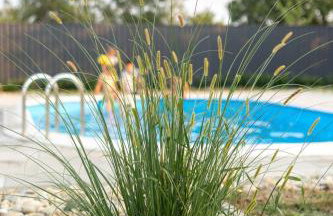 Casa Cordis - Foto 5