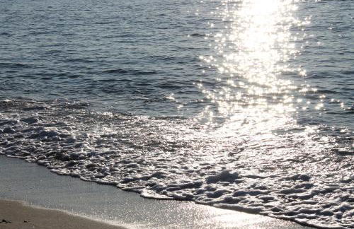 M@re Nostrum & Co. - Foto 24