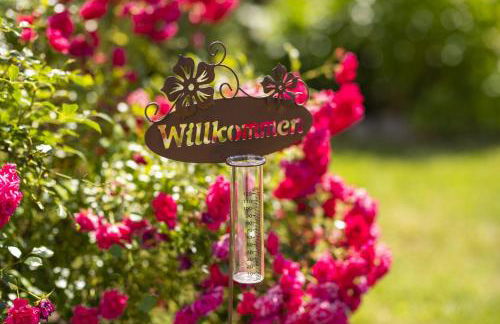 Pension Ferienwohnungen Frey - Foto 28