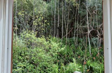 AragoniteAzzurra Casa Vacanza - Foto 43