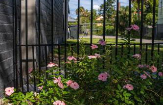 Urban Oasis - A Newly Renovated 4BR Dream - Foto 31