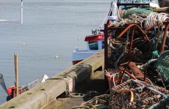 Kindly Light Cottage - Foto 70