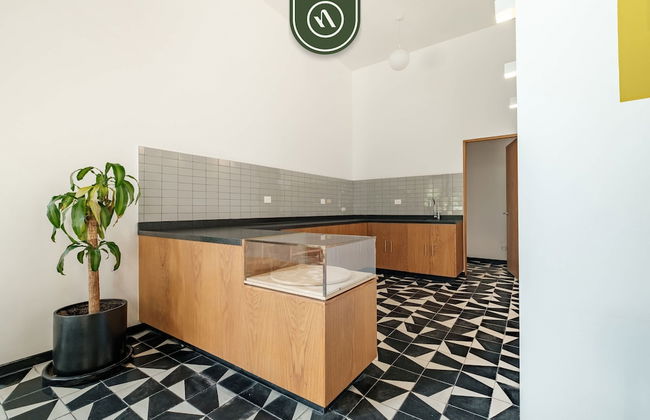 Livix B305 in Ciudad de M Xico - Foto 41