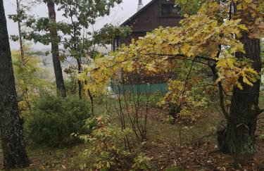 Domek pod lasem podlaskie - Foto 25