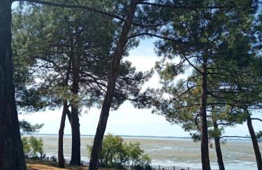 Villa Le Mauret - Foto 22