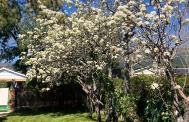 Villa Herrero - Foto 52