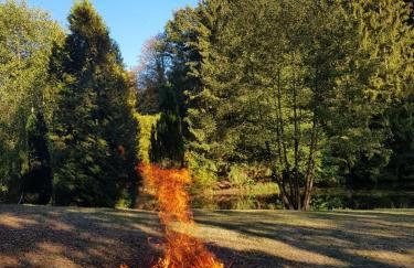 Im Baumhaus - Foto 2