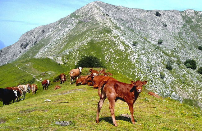 Belvilla by OYO Holiday Home With Garden - Foto 37