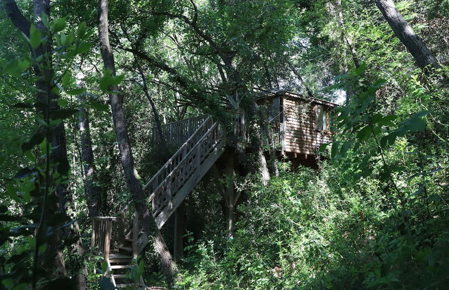 Orion Tree houses - Foto 50