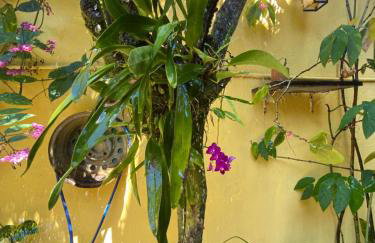 Loft Sol Nascente - Foto 16