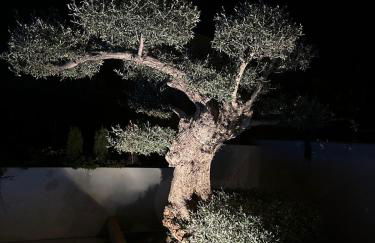 Villa con tres palmeras - Foto 11