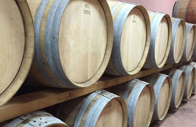 Tour in Láujar de Andarax - Foto 1