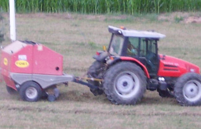 Agriturismo Il Vecchio Carro - Foto 33