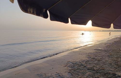 IL Casale di Petrosino - Foto 7