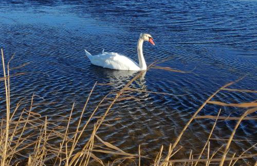 La maisonnette de Saint Chamas - Foto 32