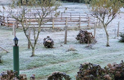 Recanto da Natureza- Chalé - Foto 29