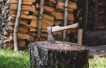 Chatka w lesie - Foto 49