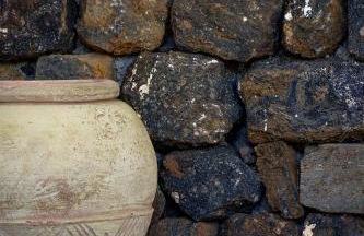 Venus Dream - Foto 39