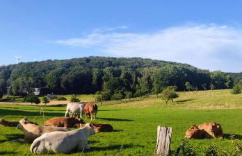 Modernes Rhombushaus im Naturparadies Sauerland - Foto 12