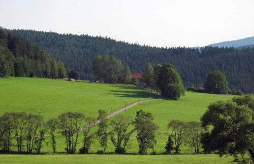 Gemütliche Wohnung in Flussnähe in Regen Bayern - Foto 36