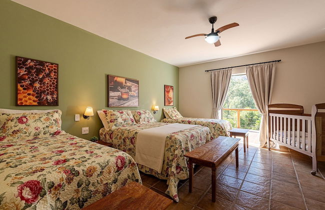 Fazenda Realeza - Foto 2