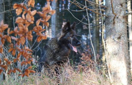 Holiday home with 3 bedrooms - Foto 16