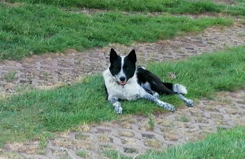 Ferienhaus Putzke - Foto 36