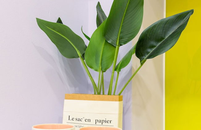 Cozrum Homes Rivera Corner - Foto 61