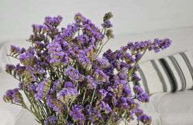 Grace and Harmony of Ancient Corinth - Foto 31