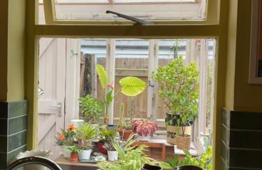 Terraced Garden House Three Bedrooms - Foto 21