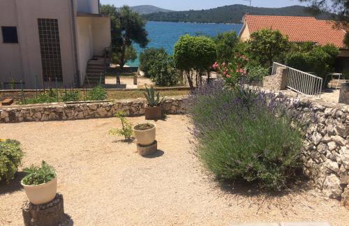 Apartments Maslina - Foto 9