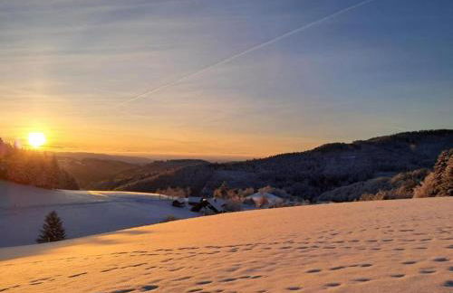 Apartment in Kleines Wiesental - Foto 77