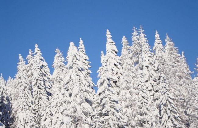 Queitly Located Chalet near Resort Center of Nassfeld - Foto 44